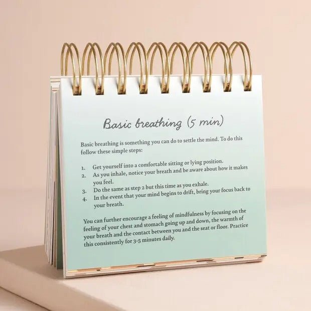 Daily Mindfulness Flip Chart - Spiffy - The Happiness Shop